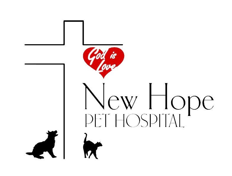 Animal Hospital in Punta Gorda, FL | New Hope Pet Hospital